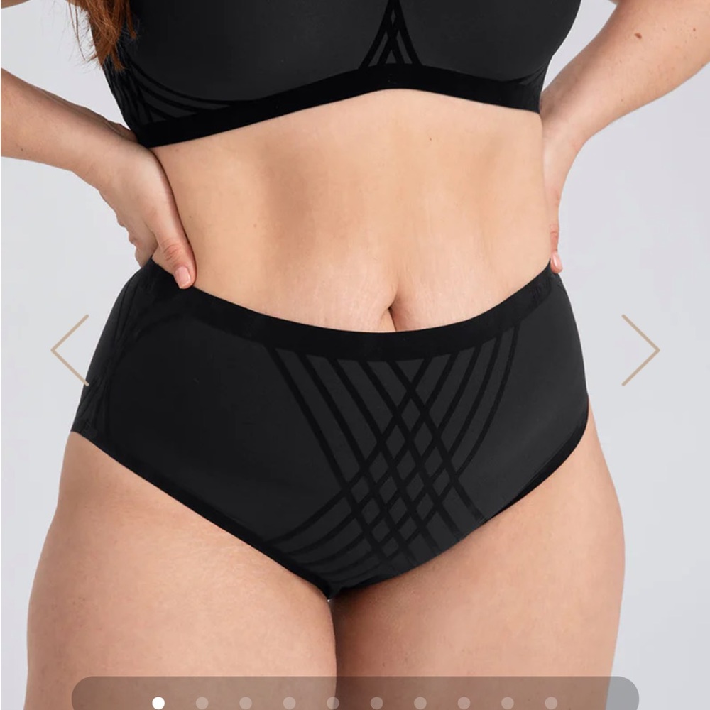 Honeylove silhouette brief, NWT